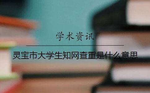 靈寶市大學生學術(shù)查重是什么意思