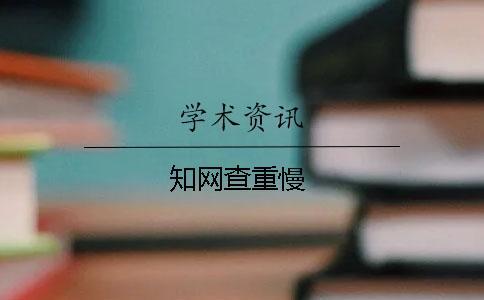 學(xué)術(shù)查重慢