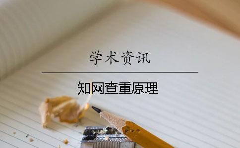 學(xué)術(shù)查重原理
