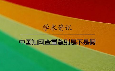中國學術查重鑒別是不是假